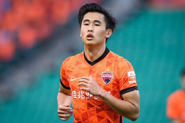 蓝莓官网